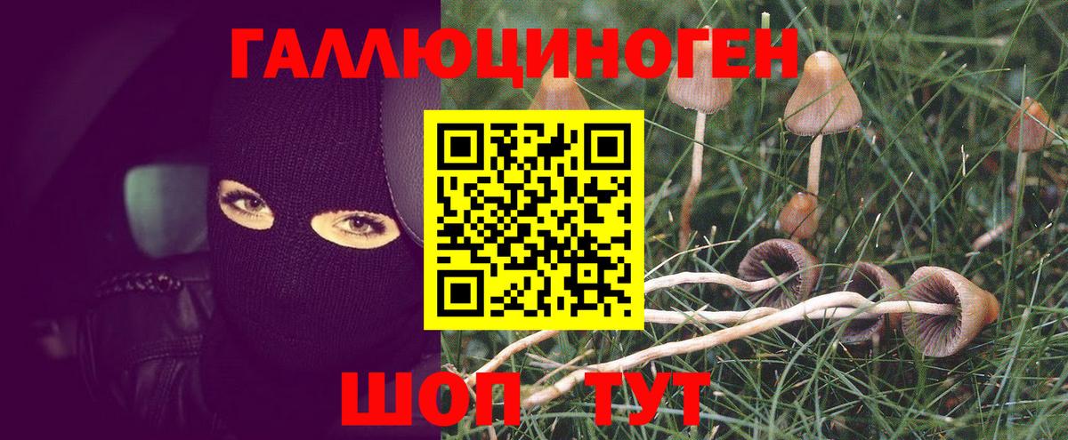 Псилоцибиновые грибы Cubensis  Вход с VPN  Надым 